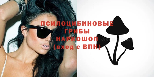 соль ск Абаза
