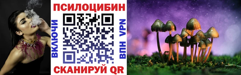 Псилоцибиновые грибы ЛСД  площадка клад  Старая Русса 